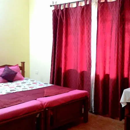 Birds Nest Home Stay Kochi Exterior photo