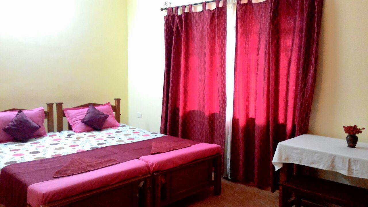 Homestay Birds Nest