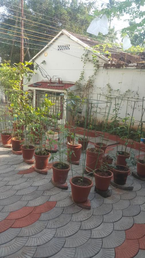 Homestay Birds Nest Kochi